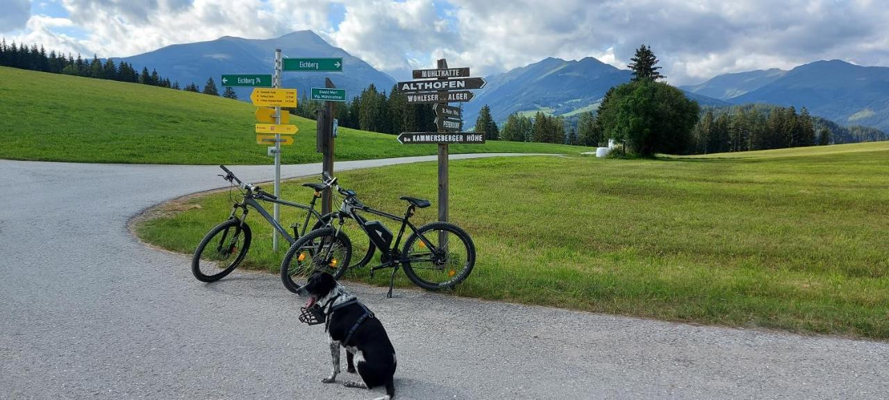 Camping Bella Austria Санкт-Петер-ам-Каммерсберг Экстерьер фото