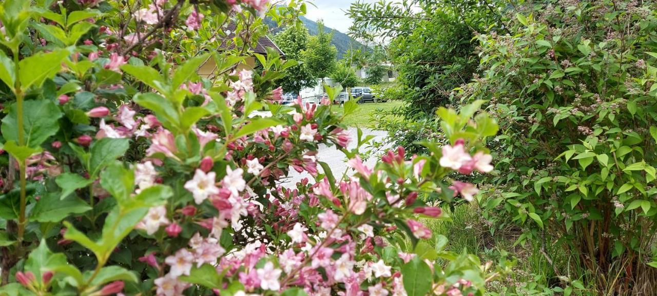 Camping Bella Austria Санкт-Петер-ам-Каммерсберг Экстерьер фото